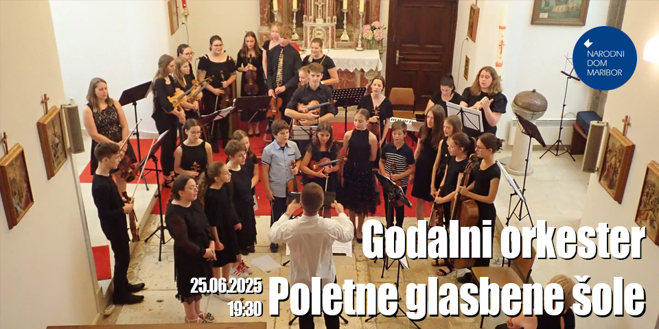 Godalni orkester Poletne glasbene šole Godalni orkester Poletne glasbene šole